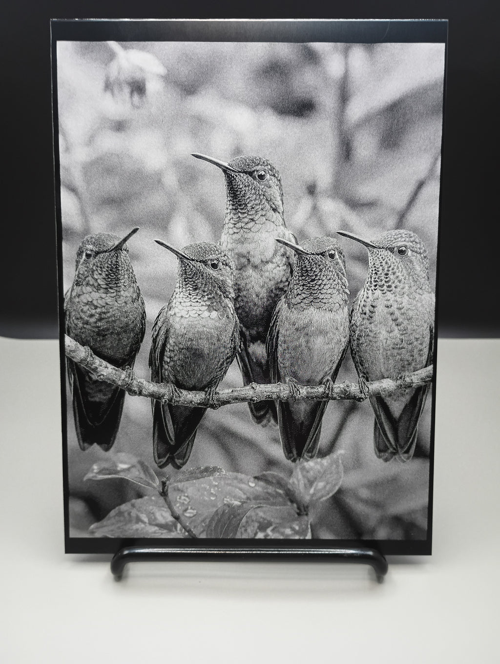 5 x 7 Framed Laser Engraved Aluminum Picture - Hummingbirds