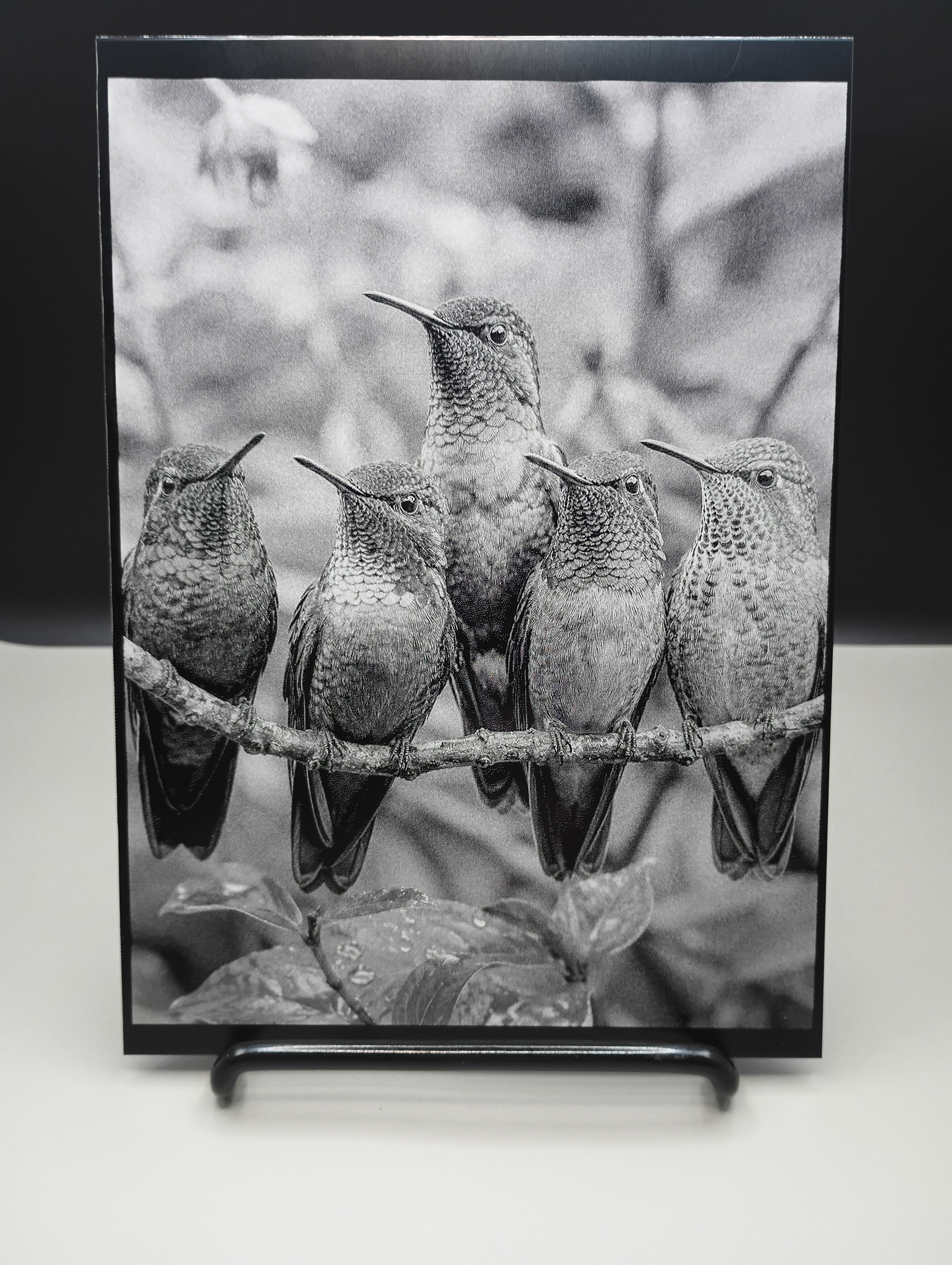 5 x 7 Framed Laser Engraved Aluminum Picture - Hummingbirds