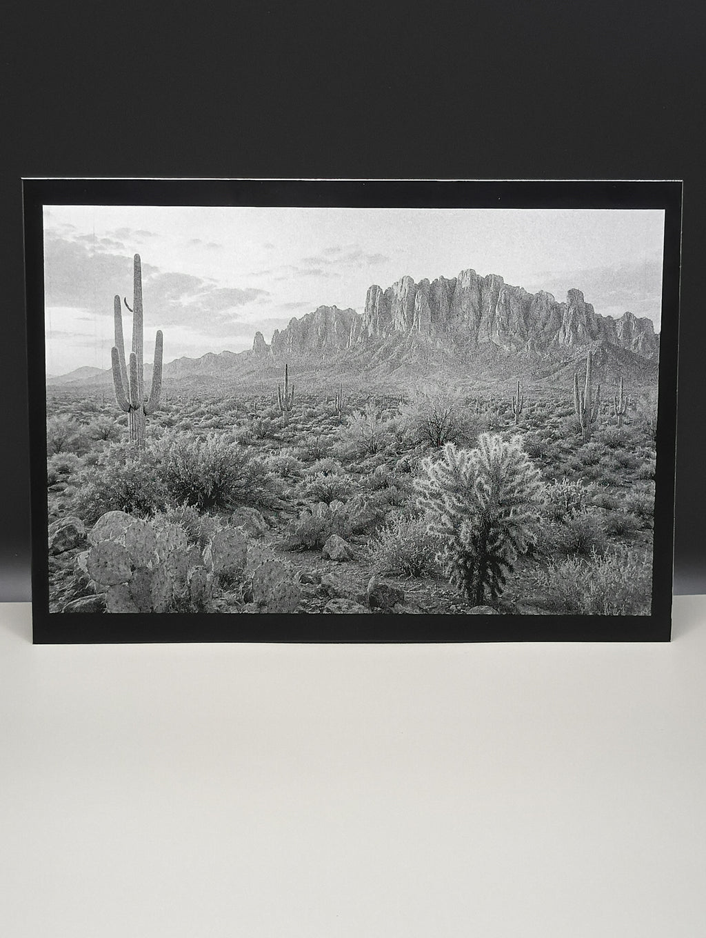Framed black and white landscape print of a desert scene with cacti and mountains.