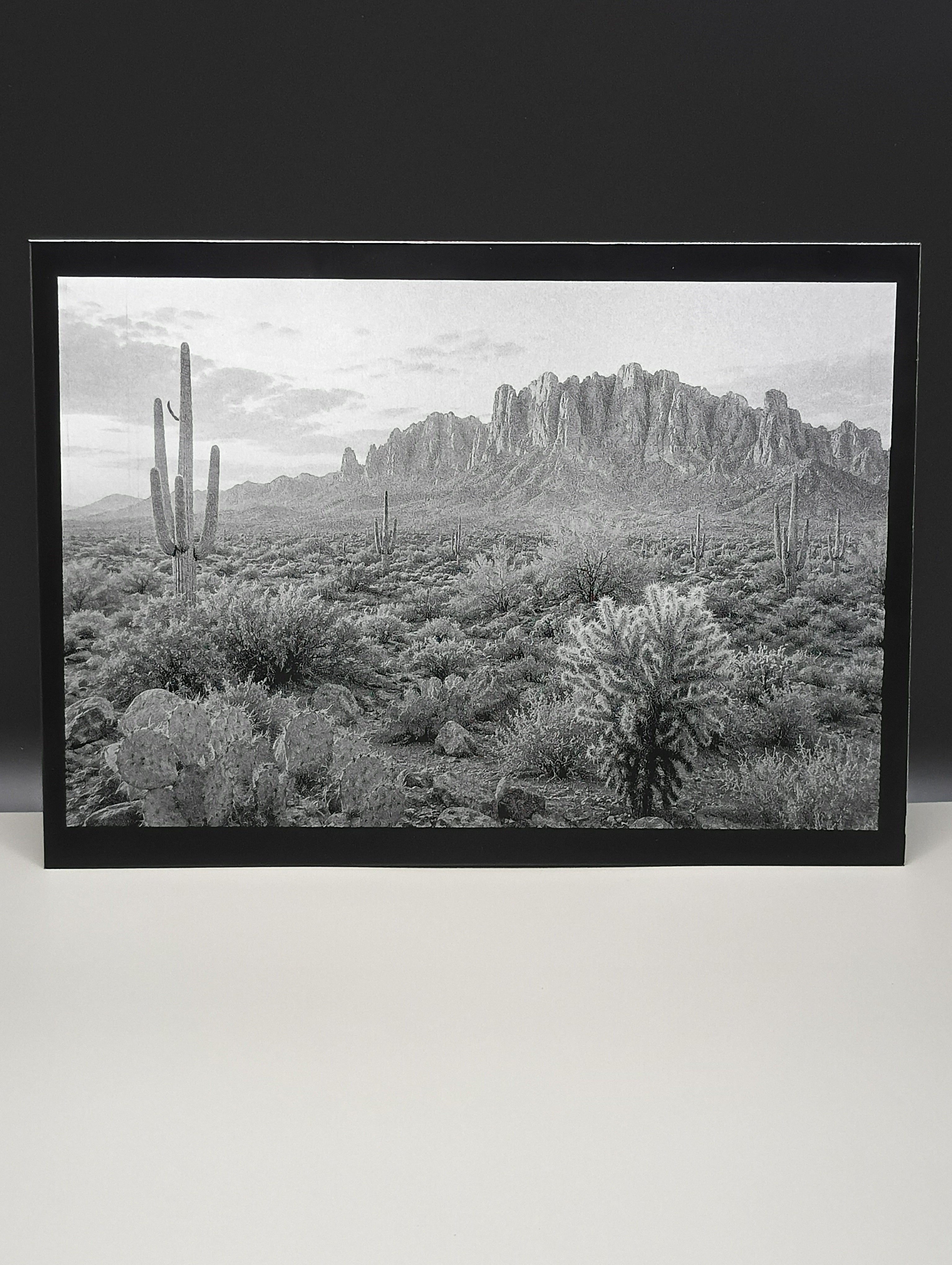Framed black and white landscape print of a desert scene with cacti and mountains.