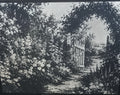 Garden scene with a wooden gate and overgrown plants