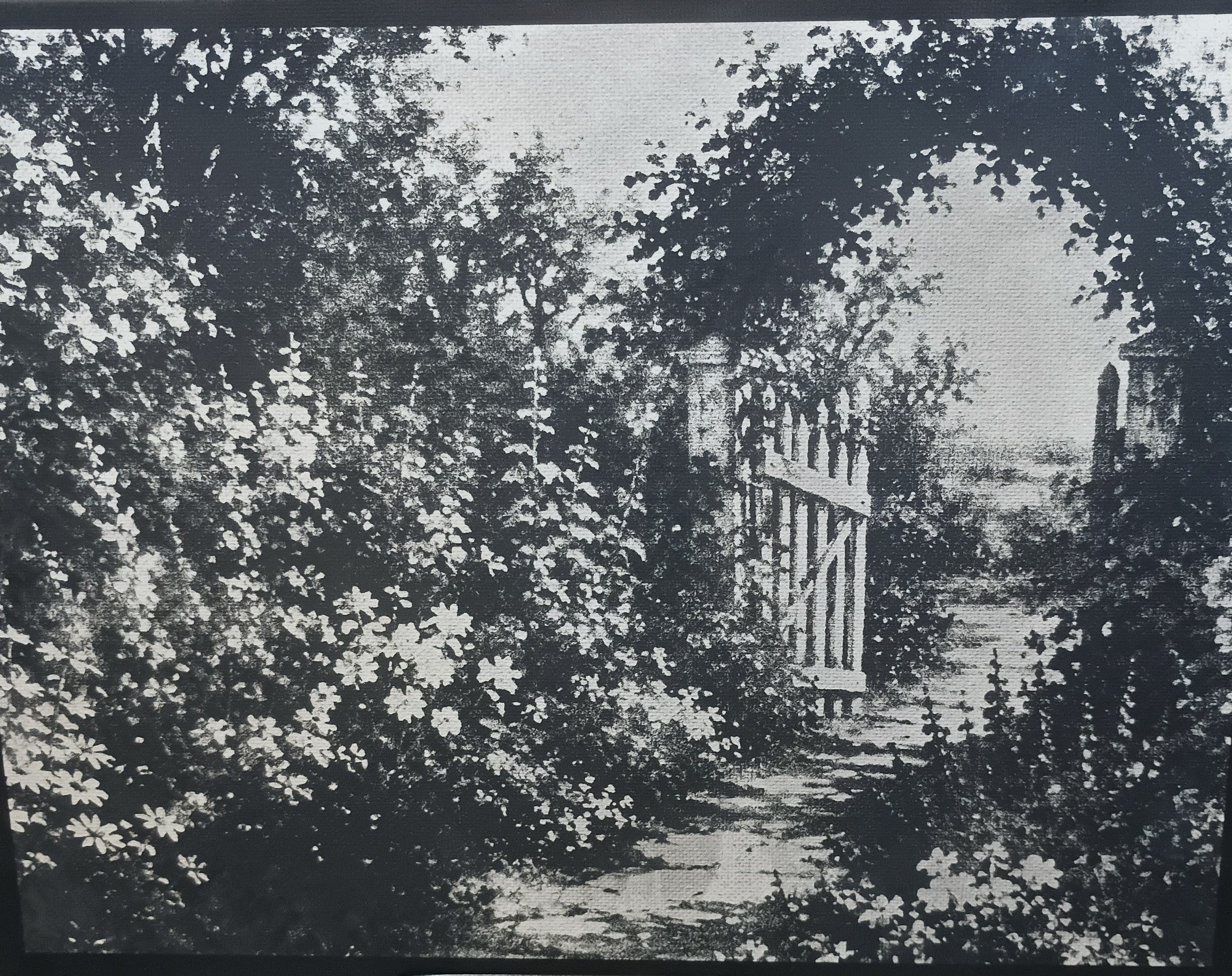 Garden scene with a wooden gate and overgrown plants