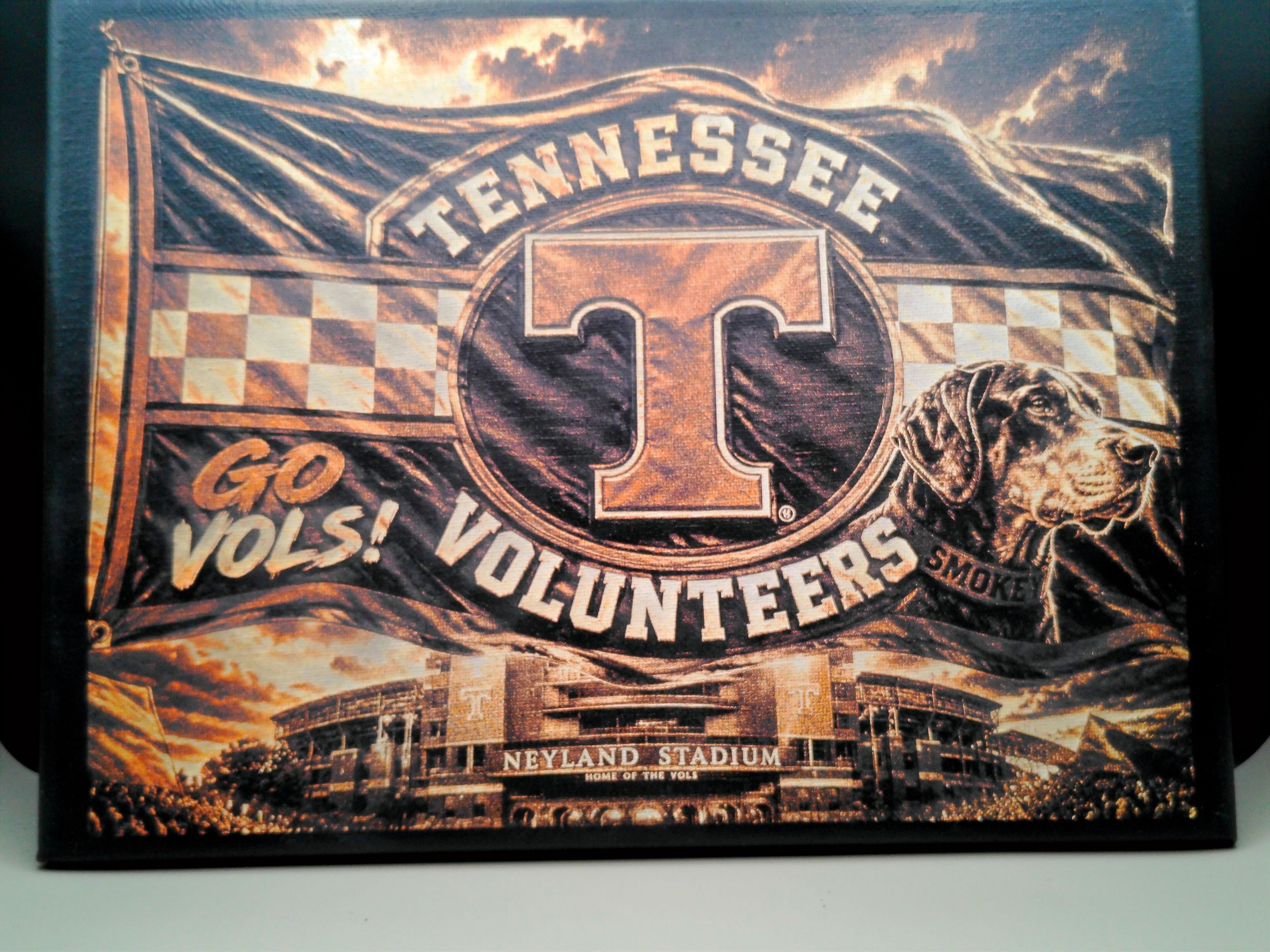 Laser Engraved Painted Canvas - Tennessee Volunteers (9 x 12)